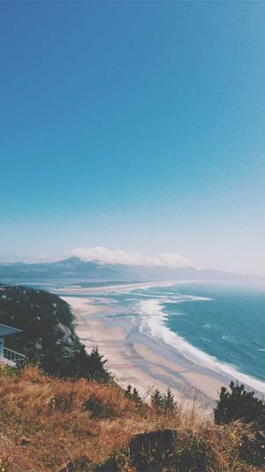 seo发帖工具泛目录截图4