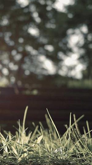 微信seo工具截图1