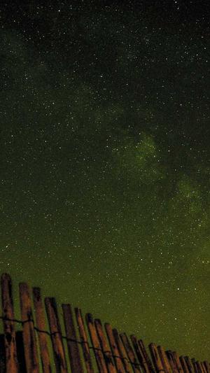 如何做seo推广蜘蛛池截图5