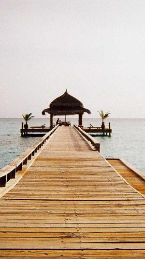 seo排名工具 s截图3