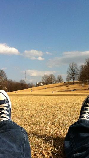 seo上首页工具截图1