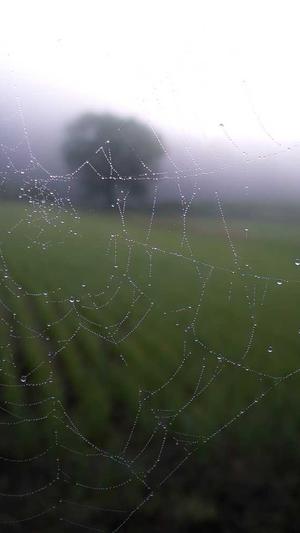 蜘蛛池软件原理截图3