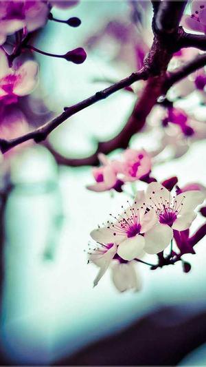 海口网站网站建设截图3