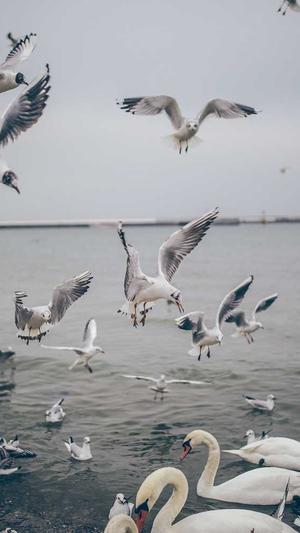 蜘蛛池搜狗截图2