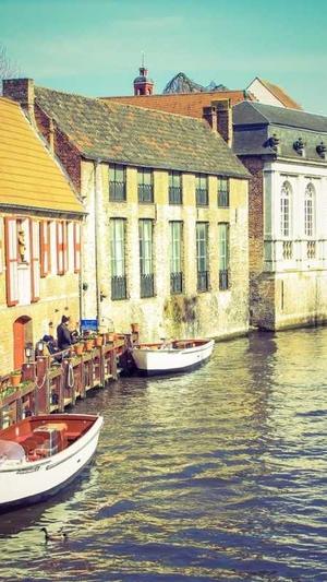 蜘蛛池最怕什么水截图4