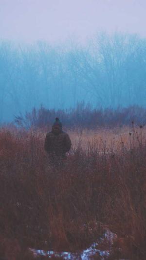 站长工具seo权重怎么看截图4