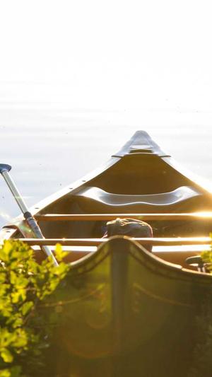 神马蜘蛛池怎么搭建截图1