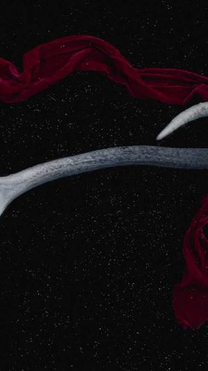 超级seo工具截图2