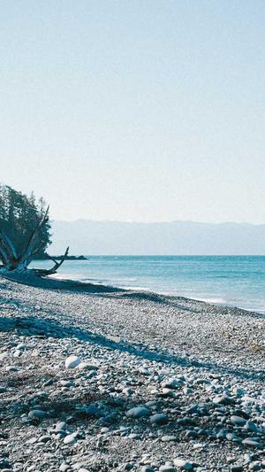 胜浦网站建设截图5