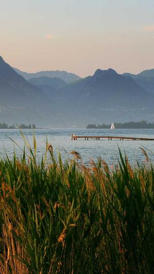 seo自动优化工具截图5