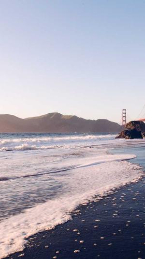 站长工具seo综合查询官网截图4