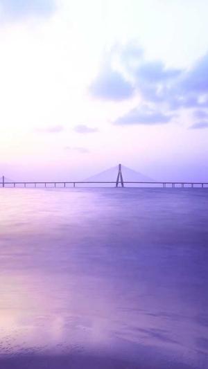 seo站长工具箱截图3