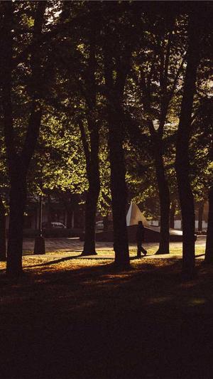 蜘蛛池违法推广怎么办截图3