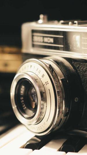 seo站长工具查询截图3