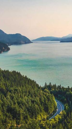 黑帽seo工具破解版截图4