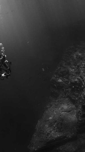 ,网站建设截图1