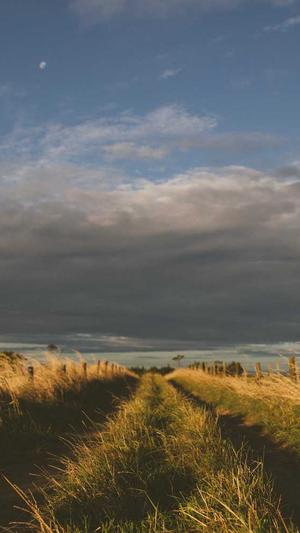 高端网站设计上海网站建设上海截图4