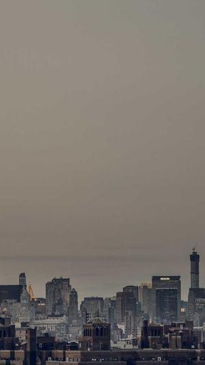 商务卫士与蜘蛛池截图1