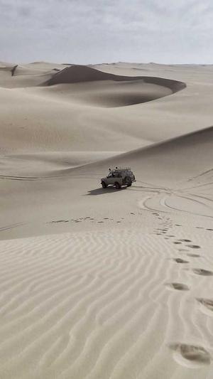 蜘蛛池有什么用的截图2