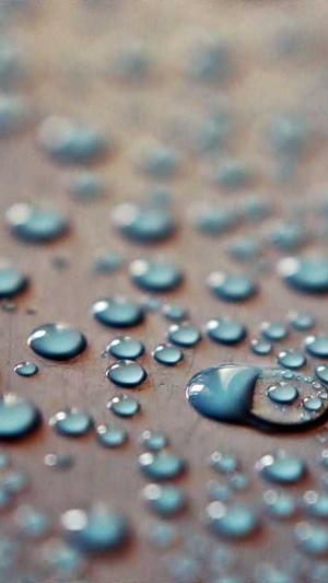 保定网站网站建设截图2