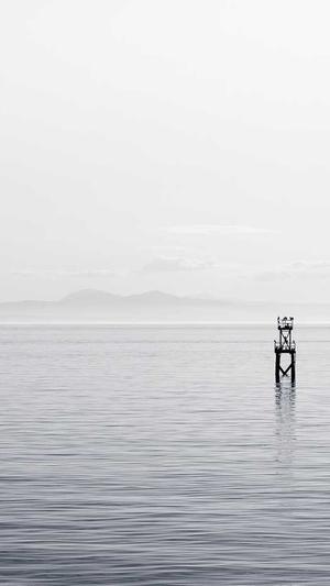 泛目录网站搭建截图2