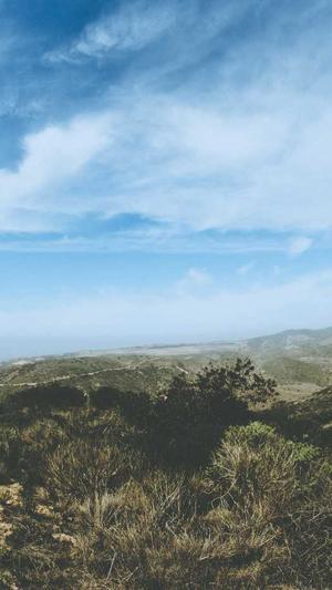 红蜘蛛池程序 知乎截图4