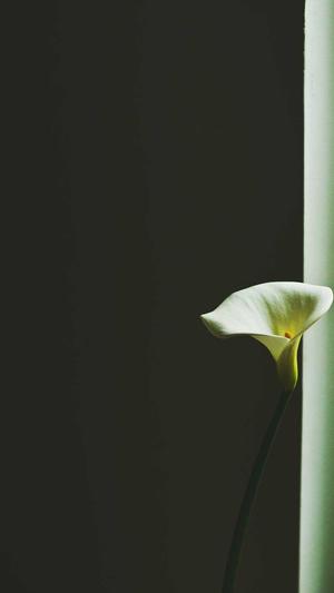 360蜘蛛池租用提供商截图3