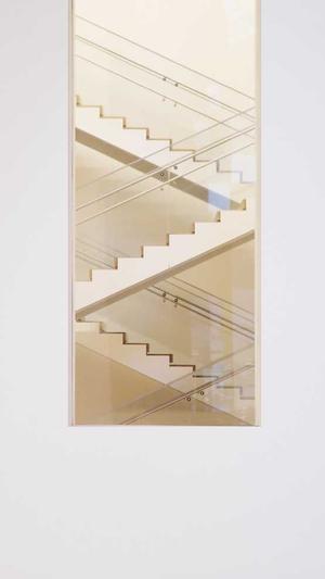 蜘蛛池价格截图3