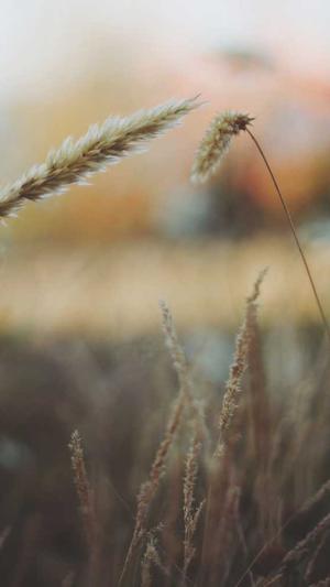 保定网站网站建设截图3