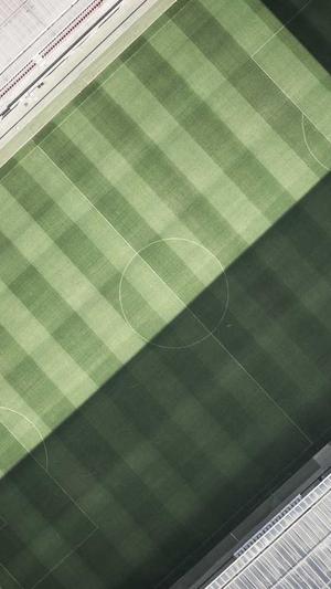 seo排名查询工具截图2